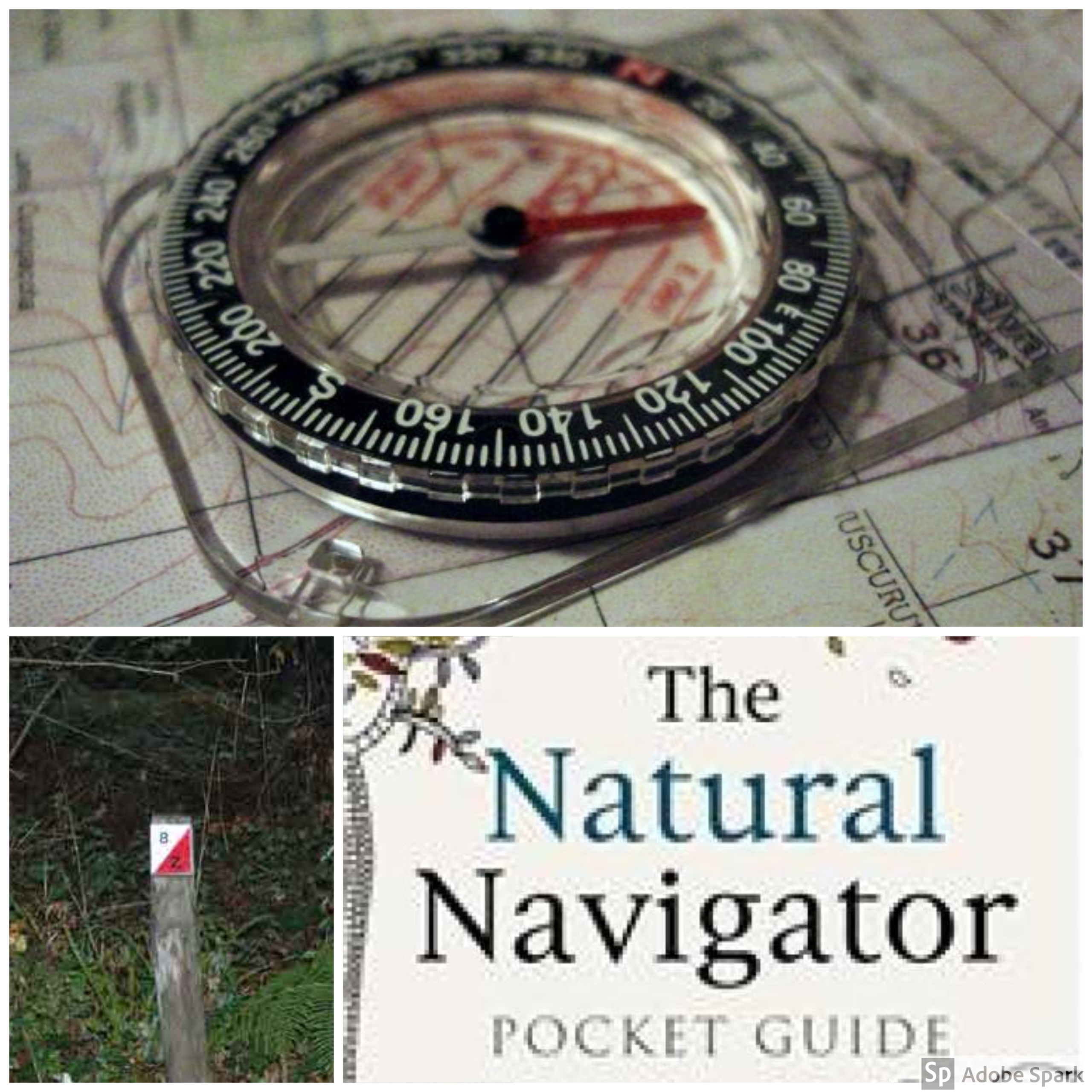 navigation